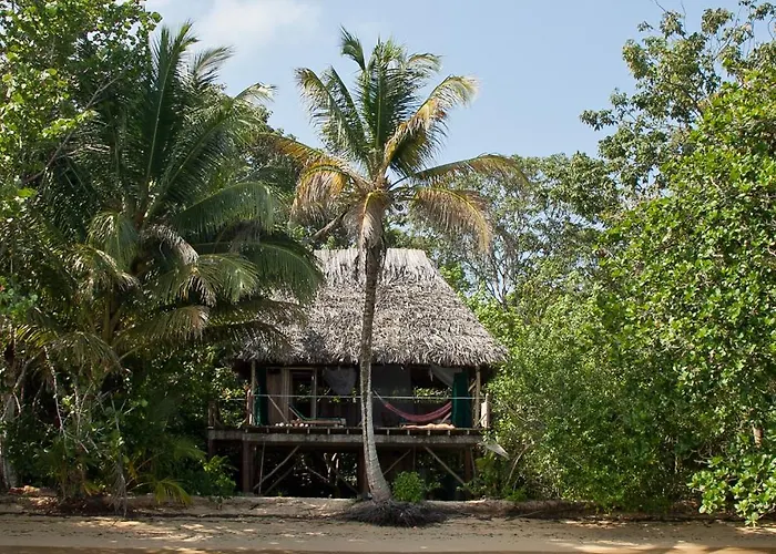 Al Natural Resort